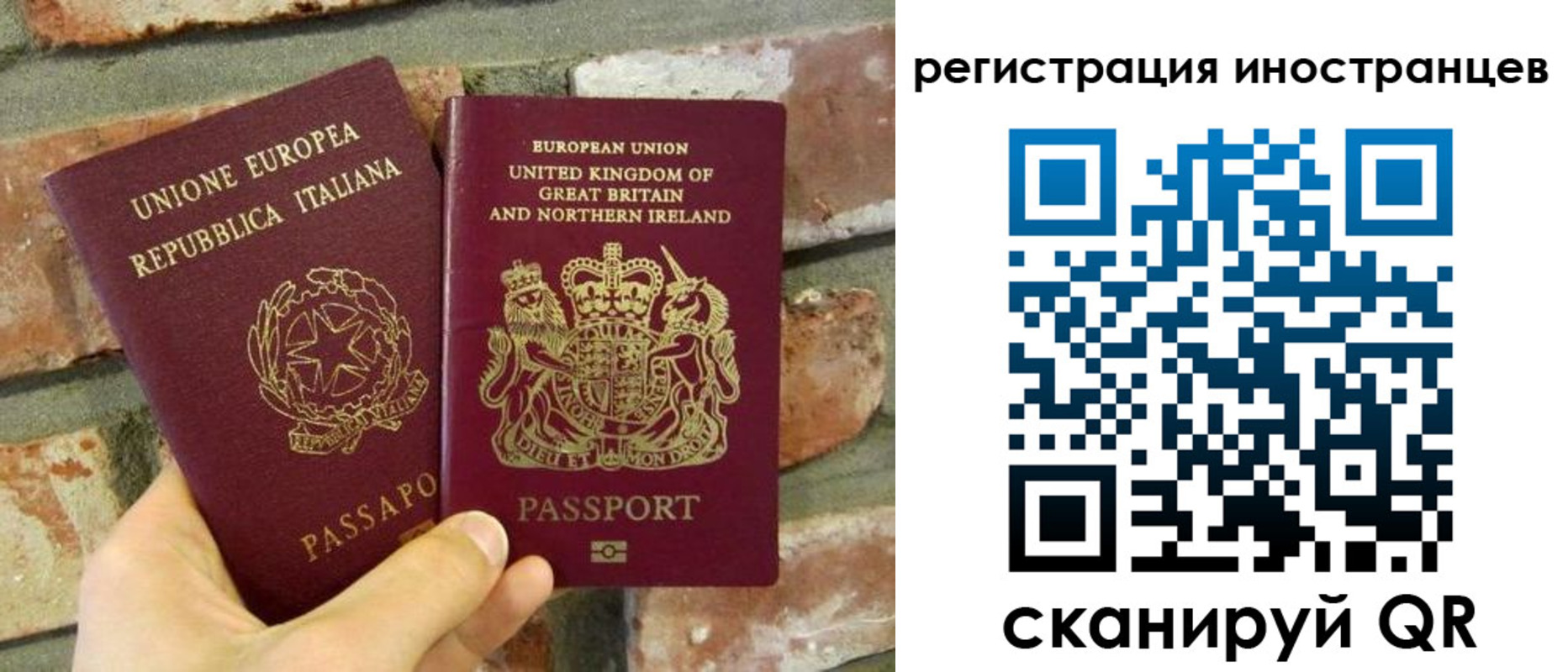 временная регистрация для школы в Михайловке